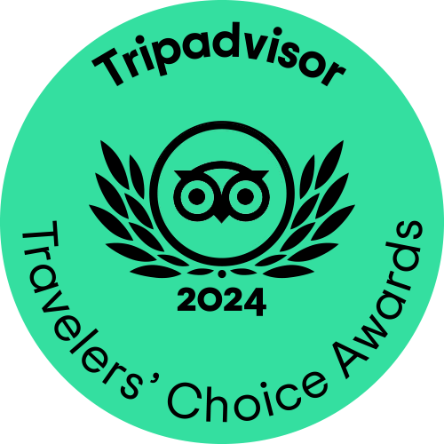 TC green winner gif L 2024 1